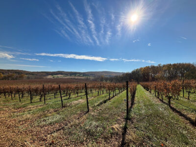 Virginia’s Wine and Cheese: The Ag District Image